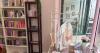 Bookshop celebrates booming first month as book lovers pour in