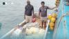Shortlands Islands Disaster Response
