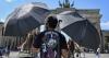 Germany records over 5 000 deaths due to record heatwave in late June