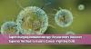 Scientists Unlock Faster, Better Way to Capture Ultimate Cancer-Fighting Cells