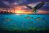 Study Traces PFAS in Great Lakes Food Webs for Over 40 Years