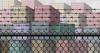 Mexico PRV restrictions slash pork offal as beef exports rebound