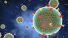 Florida Cyclospora Cases Likely Higher Than Reported, Experts Say