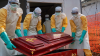 DR Congo ebola cases rise above 1,700