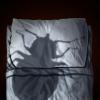 Illinois Is Home To America's Bed Bug Capital... Again