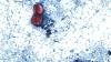 Norton warns parasitic infection causing 'explosive' diarrhea is on the rise in Kentucky