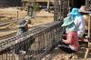 Myanmar women invisible on Thai construction sites