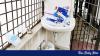 Handwashing basin used as medical waste dump