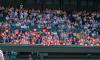 Who's who in the Royal Box at Wimbledon on Day Ten? It's a regal turnout as Queen Camilla is joined by Peter Phillips and Harriet Sperling - along with Hollywood VIPs Elle Fanning and Jason Isaacs