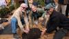 Descendants of centuries-old Liberty Tree to be planted in each of Maryland’s 24 jurisdictions