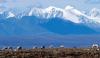 Justice Department settles Alaska lawsuits over Arctic refuge oil leasing program