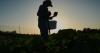 Climate Heat Specialty Crop Farms
