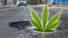‘Pot for pothole’ campaign fighting to legalize marijuana & fix roads in US state with taxes – but some call plan ‘evil’