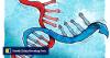 US-China scientific decoupling: the hidden costs of geopolitical rivalry