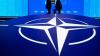 Greenland control, Trump and Russia 'threat' dominate NATO Summit | What we know