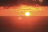 WHO warns Europe faces ‘deadliest weeks’ as new heatwave builds