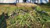 Rotorua Tongan community upset by ongoing waste and rubbish dumping at hall