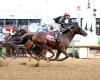 Kentucky Derby And Belmont Winner Golden Tempo Targets Travers Stakes