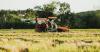 Laos Agricultural, Forestry Exports Top USD 1 Billion in First Half of 2026