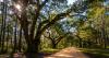 The 5 Best Outdoorsy Towns to Explore in Louisiana