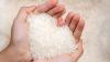 Free rice under P145-M fund for thousands of Cebu City families