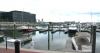 1,000 dead fish on surface of Baltimore's Inner Harbor