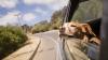 Weather & Traffic: Thursday 9 July: The heat is back