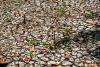 Climate change, El Niño worsen extreme weather, economic losses, experts warn