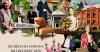 The secret life of London’s Billionaires’ Row