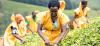 Feeding Africa: Women Farmers Key to Ending Hunger