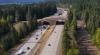 Wildlife Bridge At Snoqualmie Pass Logs Its First Bear Crossing