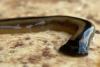 Virginia entomologist lifts flower pot, 'freaks out' over hammerhead worm that multiplies when cut