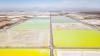 Chile's lithium export value nearly triples in H1 on rising prices, strong demand