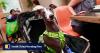 Over 900 Hong Kong restaurants welcome dogs on day 1 of pet-licensing scheme