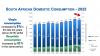 South Africa's Plastics Recycling Reaches New Milestone Despite Manufacturing Slowdown
