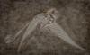 113-million-year-old pterosaur in Brazil held molecules that revealed a fish-and-squid diet