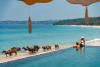 Why Swimming With Horses at NIHI Sumba Is Indonesia’s Most Unforgettable Luxury Experience