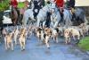 Opinion piece: Why farming communities want hunting with dogs banned in Northern Ireland