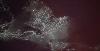 NASA shares startling footage of July 4th fireworks over Los Angeles seen from space
