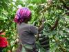 The role of women in Latin America and the Caribbean in facing the climate crisis