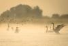 Photo exhibition on Danube Delta to open at Romanian Cultural Institute in Madrid