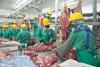 Namibia records N$510m food trade surplus … fish, meat exports drive strong performance