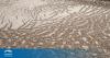 U.S. EPA releases draft guidance on PFOA and PFOS in biosolids
