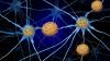 Is Alzheimer’s Research Focusing on the Wrong Target?