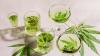 THC drinks: America’s newest beverage craze