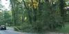 Fallen tree blocks roadway in SW Atlanta, causing traffic chaos