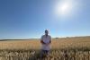 Chicago grains ease with weather and USDA data in focus