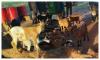 Niger Police arrest five over theft of 17 goats in Mokwa