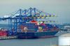 US container imports steady in June despite trade tensions: Report