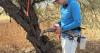 SRP and NAU turn to farming technology to understand Arizona's growing wildfire risk